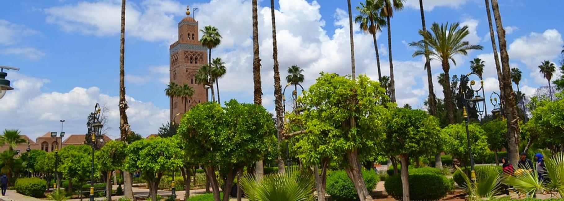marrakech agriculture trip header slk fe